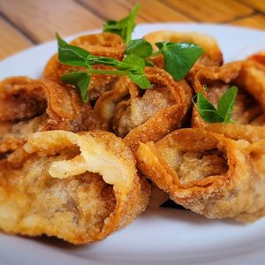 Chicken Won Ton